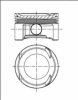 NüRAL 87-141300-20 Piston